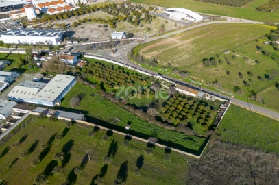 Terreno Comércio / Armazém para Venda em Santo Agostinho e São João Baptista e Santo Amador