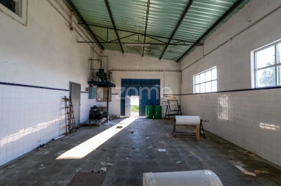 Terreno Comércio / Armazém para Venda em Santo Agostinho e São João Baptista e Santo Amador