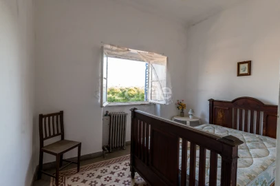 Terreno Comércio / Armazém para Venda em Santo Agostinho e São João Baptista e Santo Amador