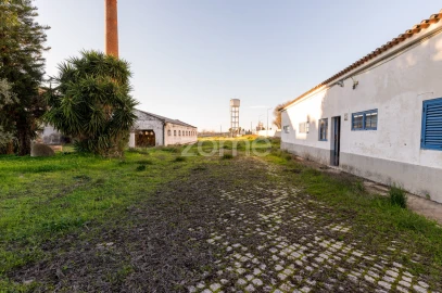 Terreno Comércio / Armazém para Venda em Santo Agostinho e São João Baptista e Santo Amador