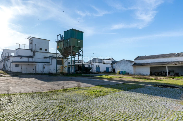 Terreno Comércio / Armazém para Venda em Santo Agostinho e São João Baptista e Santo Amador Foto 15
