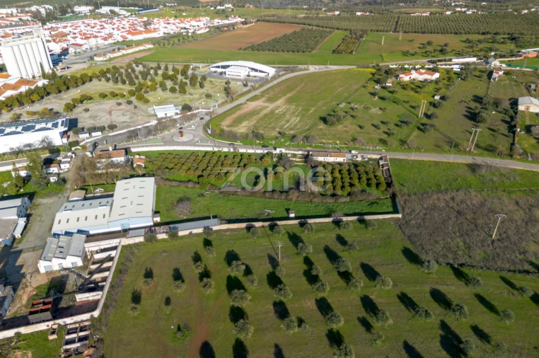 Terreno Comércio / Armazém para Venda em Santo Agostinho e São João Baptista e Santo Amador Foto 3