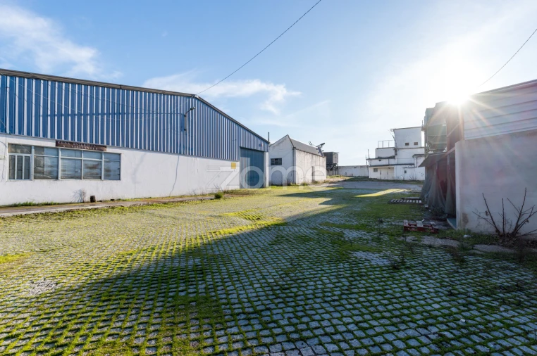 Terreno Comércio / Armazém para Venda em Santo Agostinho e São João Baptista e Santo Amador Foto 26