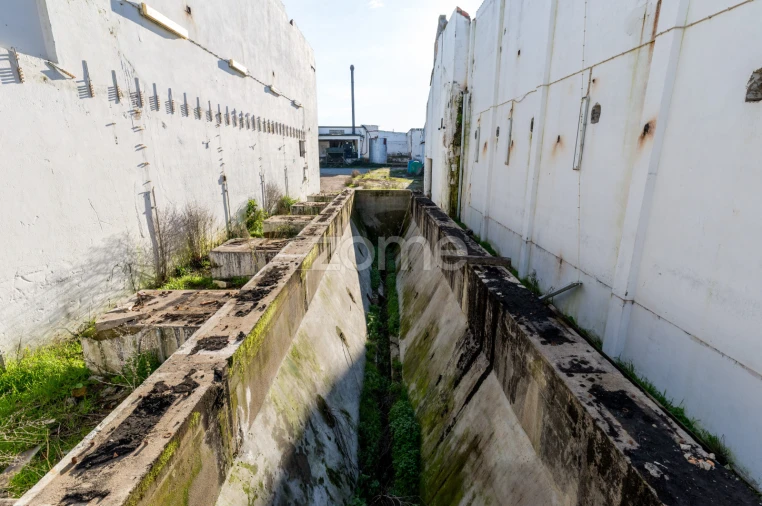 Terreno Comércio / Armazém para Venda em Santo Agostinho e São João Baptista e Santo Amador Foto 27