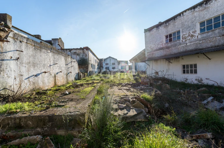 Terreno Comércio / Armazém para Venda em Santo Agostinho e São João Baptista e Santo Amador Foto 28