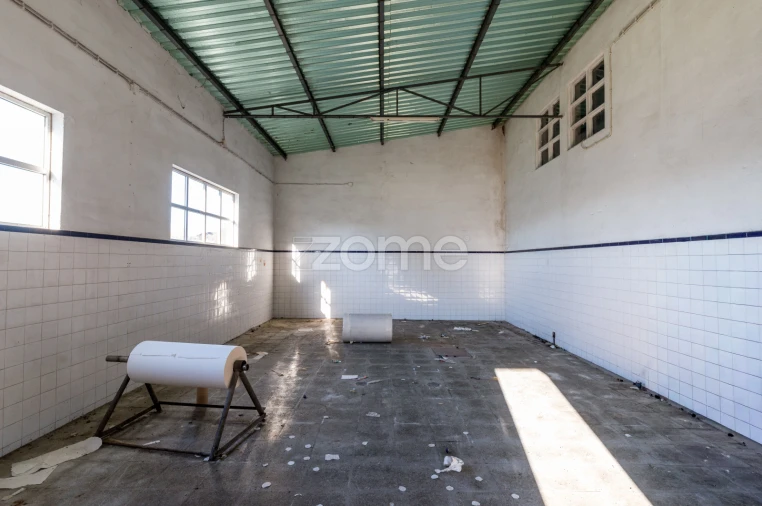 Terreno Comércio / Armazém para Venda em Santo Agostinho e São João Baptista e Santo Amador Foto 32