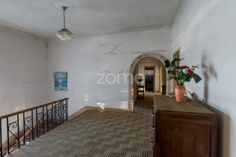 Terreno Comércio / Armazém para Venda em Santo Agostinho e São João Baptista e Santo Amador Foto 48