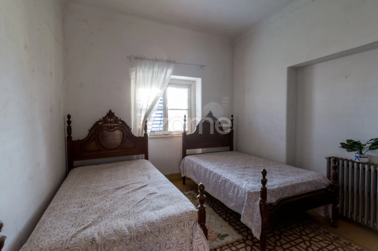 Terreno Comércio / Armazém para Venda em Santo Agostinho e São João Baptista e Santo Amador Foto 49