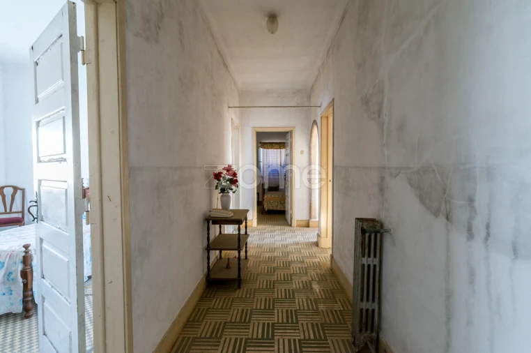 Terreno Comércio / Armazém para Venda em Santo Agostinho e São João Baptista e Santo Amador Foto 50