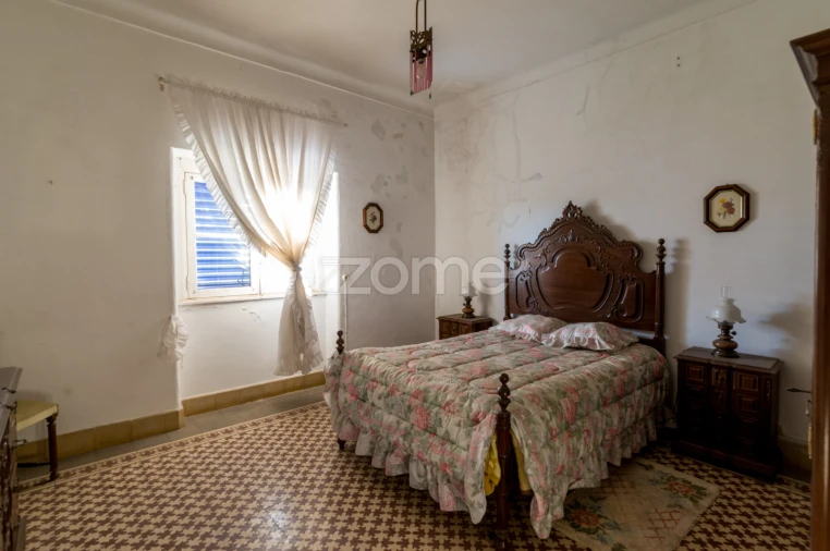 Terreno Comércio / Armazém para Venda em Santo Agostinho e São João Baptista e Santo Amador Foto 51