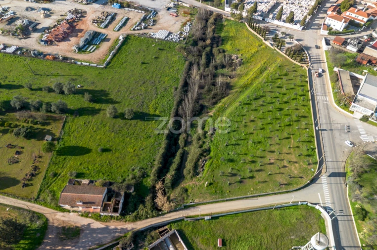 Terreno Comércio / Armazém para Venda em Santo Agostinho e São João Baptista e Santo Amador Foto 6