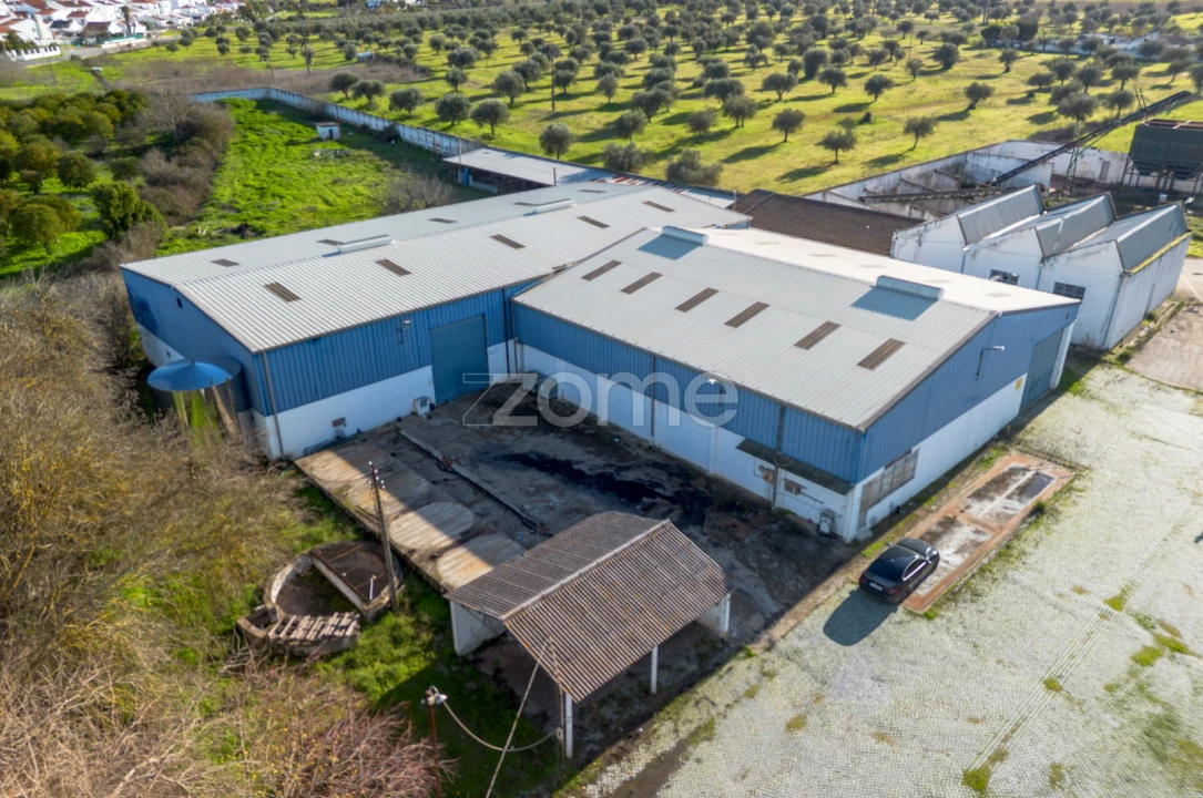 Terreno Comércio / Armazém para Venda em Santo Agostinho e São João Baptista e Santo Amador Foto 7