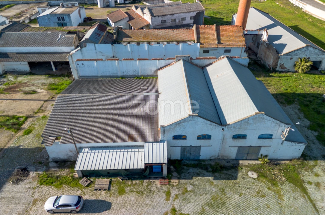 Terreno Comércio / Armazém para Venda em Santo Agostinho e São João Baptista e Santo Amador Foto 8