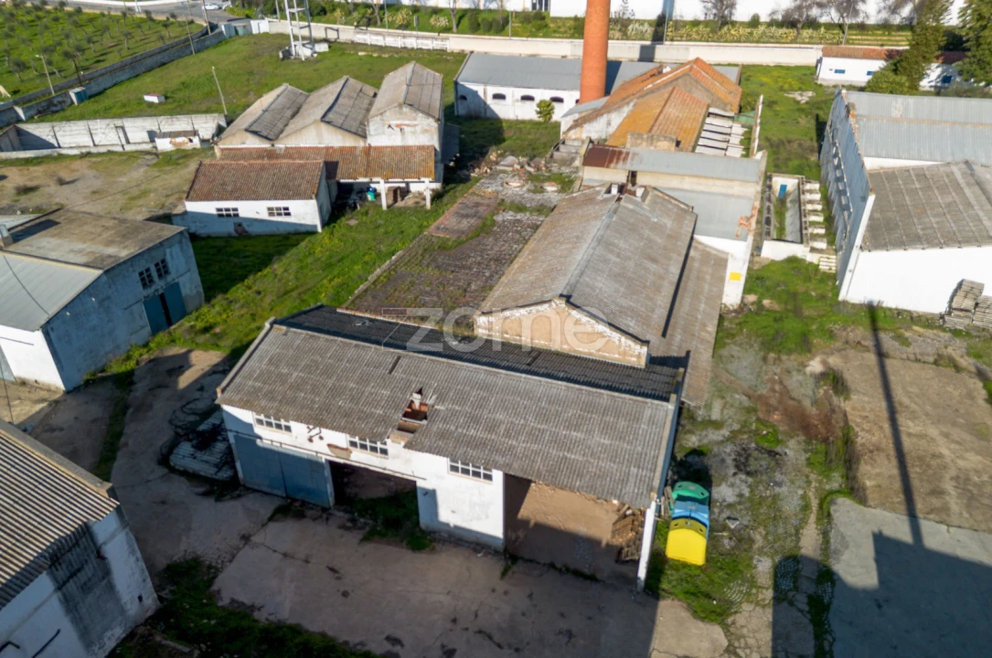 Terreno Comércio / Armazém para Venda em Santo Agostinho e São João Baptista e Santo Amador Foto 9