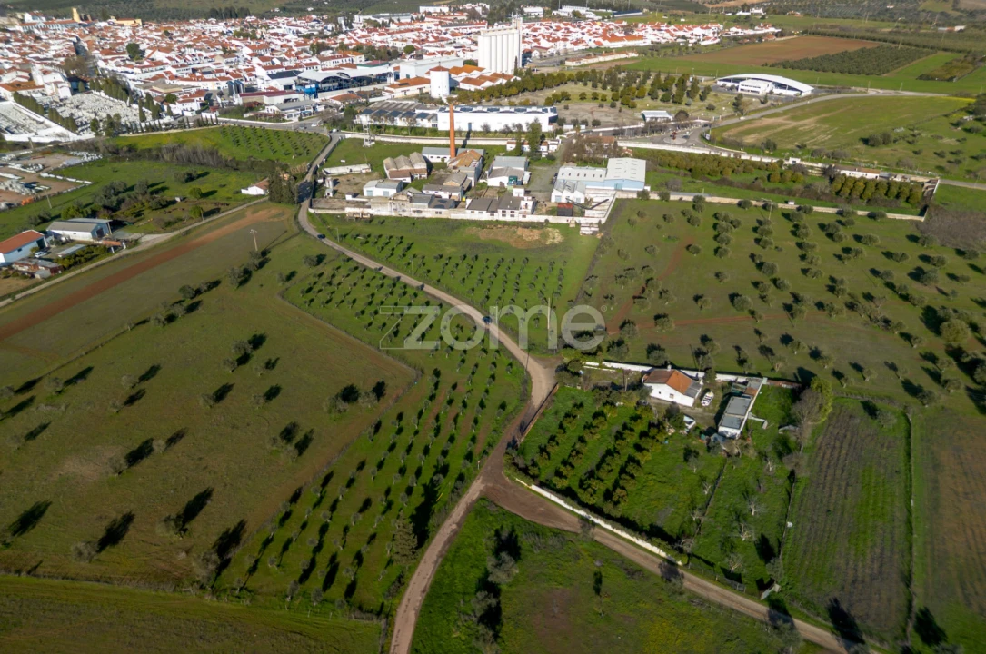 Terreno Comércio / Armazém para Venda em Santo Agostinho e São João Baptista e Santo Amador Foto 2
