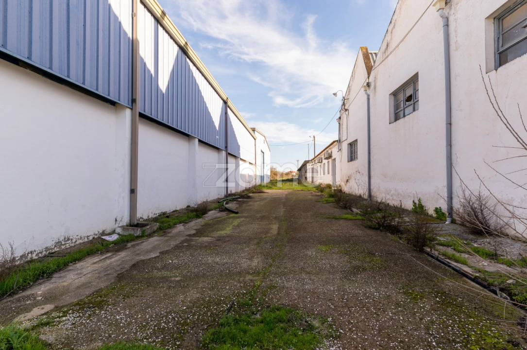 Terreno Comércio / Armazém para Venda em Santo Agostinho e São João Baptista e Santo Amador Foto 22