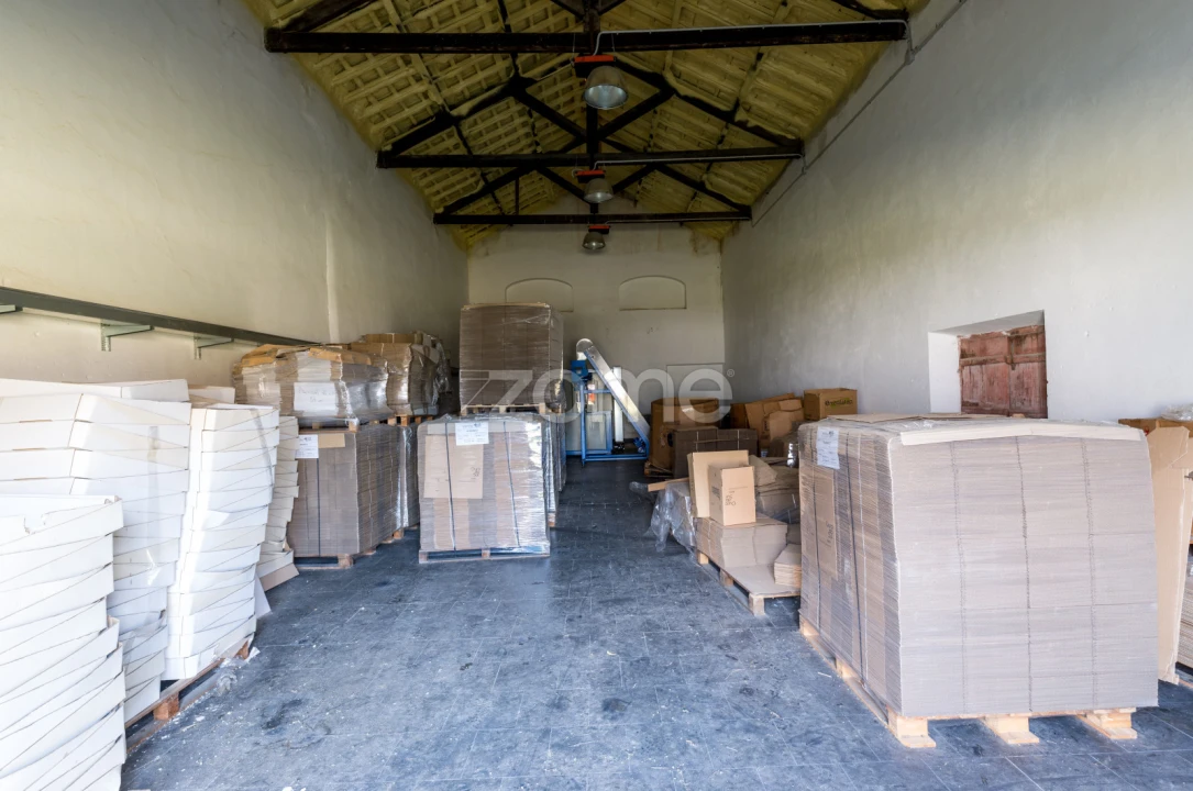 Terreno Comércio / Armazém para Venda em Santo Agostinho e São João Baptista e Santo Amador Foto 25