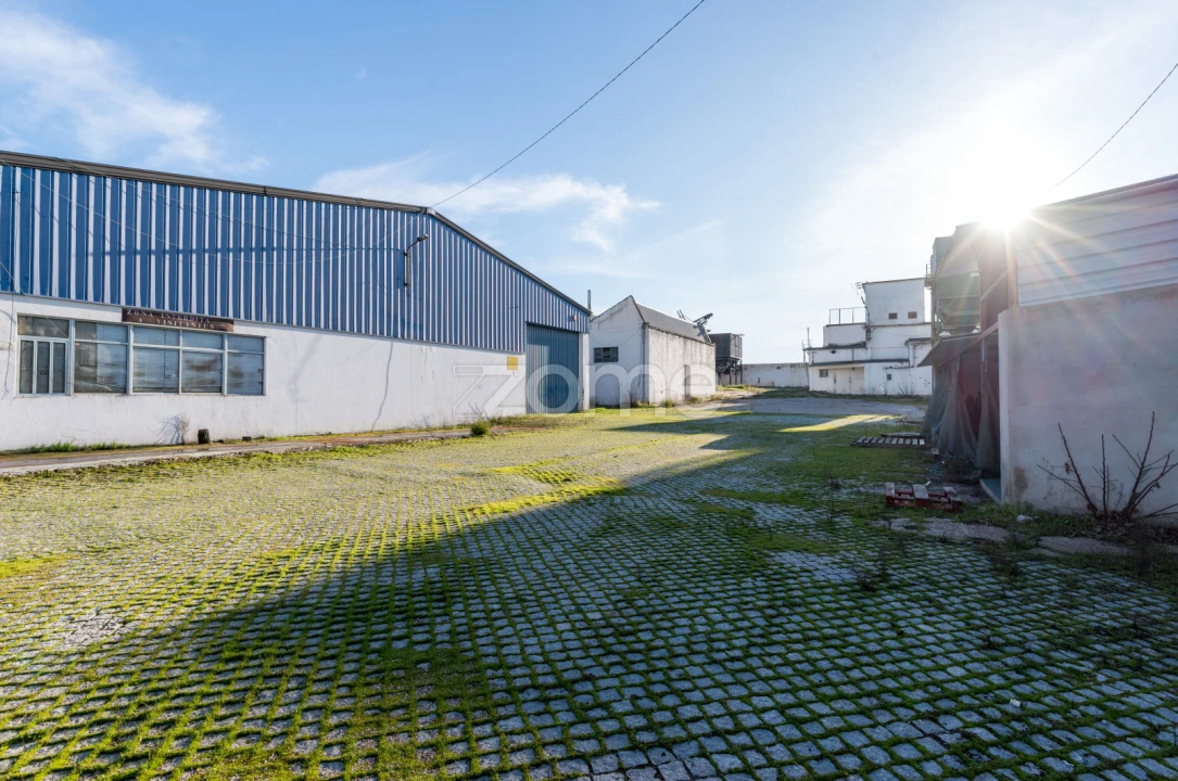 Terreno Comércio / Armazém para Venda em Santo Agostinho e São João Baptista e Santo Amador Foto 26