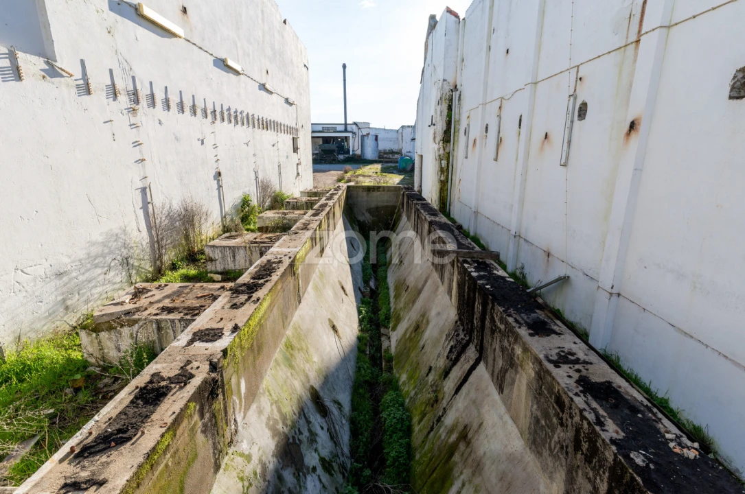 Terreno Comércio / Armazém para Venda em Santo Agostinho e São João Baptista e Santo Amador Foto 27