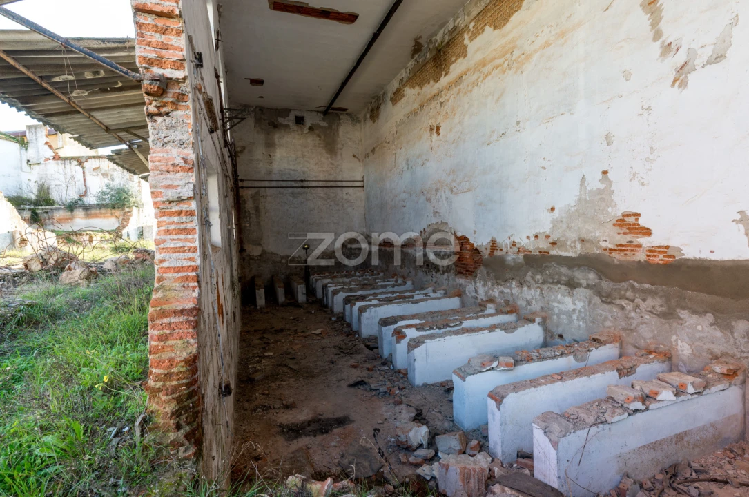 Terreno Comércio / Armazém para Venda em Santo Agostinho e São João Baptista e Santo Amador Foto 29