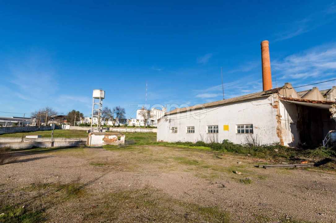 Terreno Comércio / Armazém para Venda em Santo Agostinho e São João Baptista e Santo Amador Foto 30