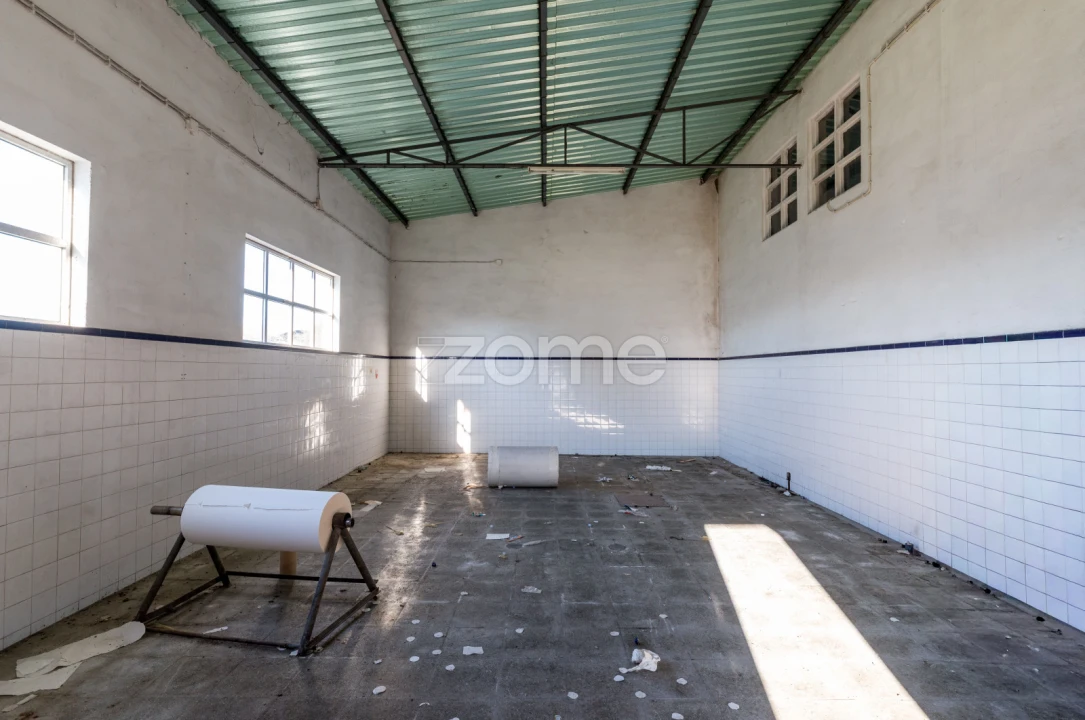 Terreno Comércio / Armazém para Venda em Santo Agostinho e São João Baptista e Santo Amador Foto 32