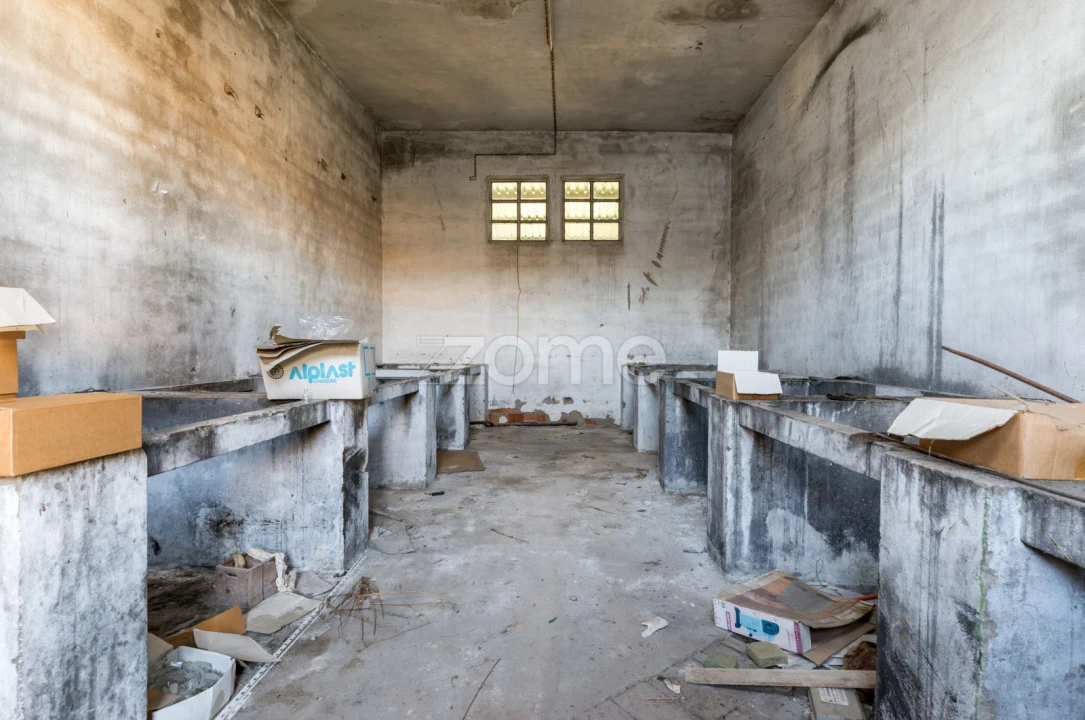 Terreno Comércio / Armazém para Venda em Santo Agostinho e São João Baptista e Santo Amador Foto 36
