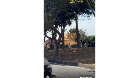 Apartamento para Venda em Paranhos