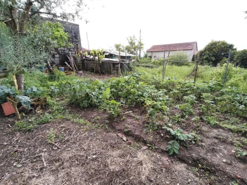 Moradia T3 para Venda em Avelar