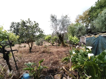Moradia T3 para Venda em Avelar