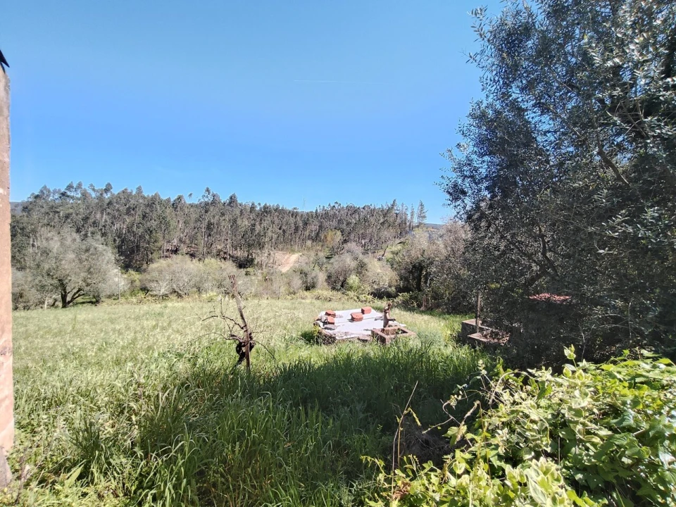 Moradia T4 para Venda em Alvaiázere Foto 4