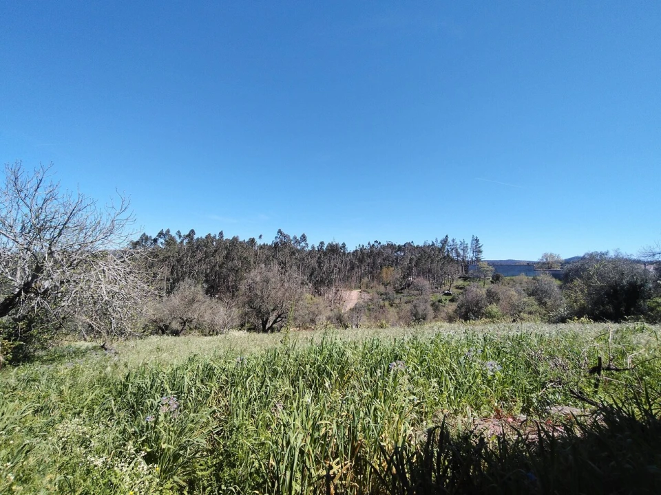 Moradia T4 para Venda em Alvaiázere Foto 12