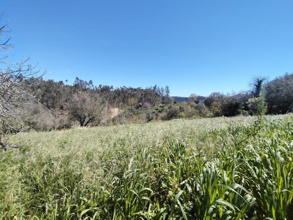 Moradia T4 para Venda em Alvaiázere Foto 13