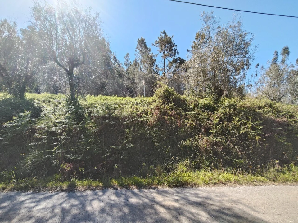 Moradia T4 para Venda em Alvaiázere Foto 39