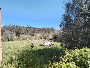 Moradia T4 para Venda em Alvaiázere