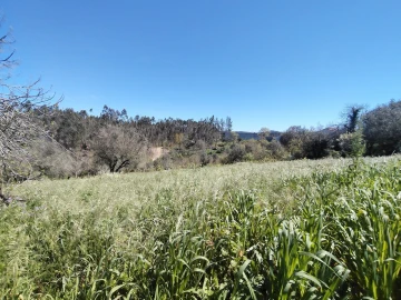 Moradia T4 para Venda em Alvaiázere