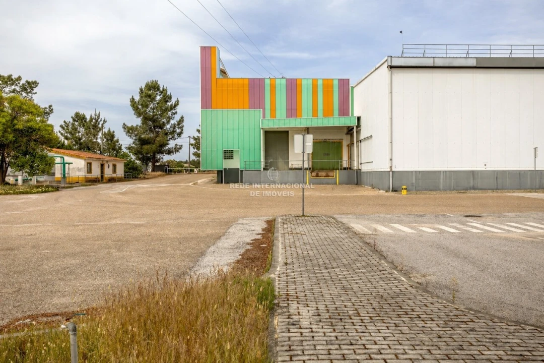 Armazém para Venda em Chamusca e Pinheiro Grande Foto 4