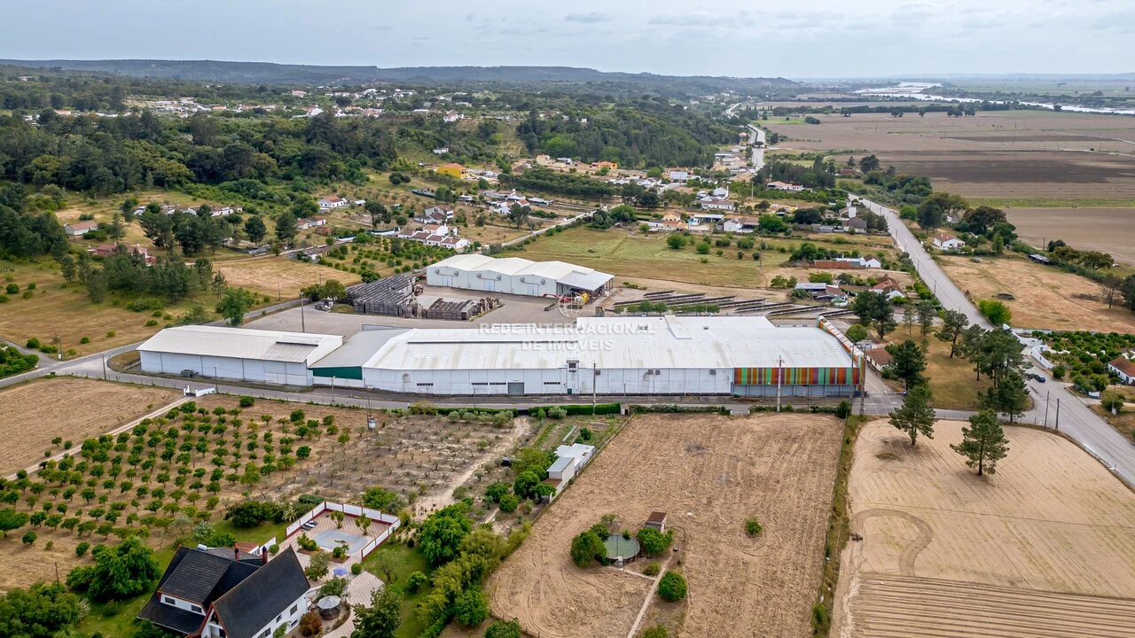 Armazém para Venda em Chamusca e Pinheiro Grande Foto 6