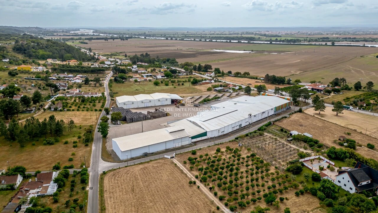 Armazém para Venda em Chamusca e Pinheiro Grande Foto 3