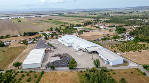 Armazém para Venda em Chamusca e Pinheiro Grande