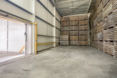 Armazém para Venda em Chamusca e Pinheiro Grande