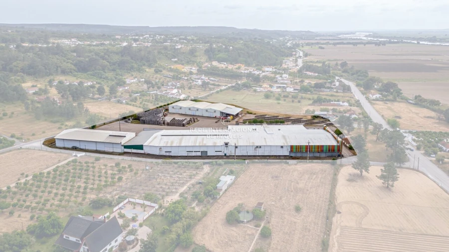 Armazém para Venda em Chamusca e Pinheiro Grande Foto 15