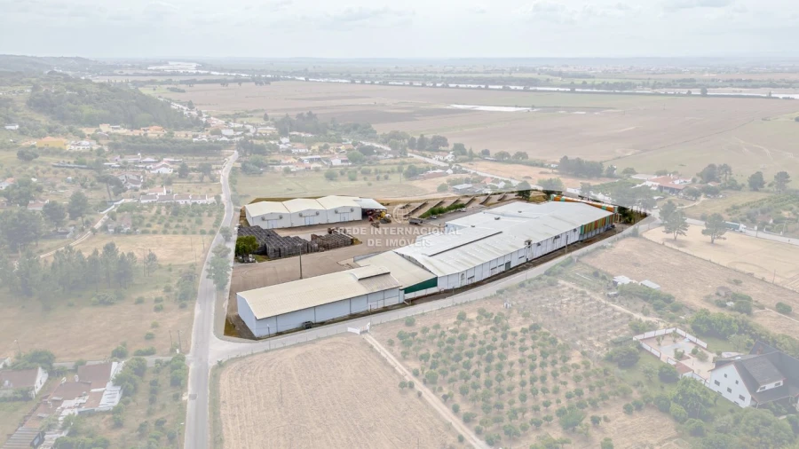 Armazém para Venda em Chamusca e Pinheiro Grande Foto 8