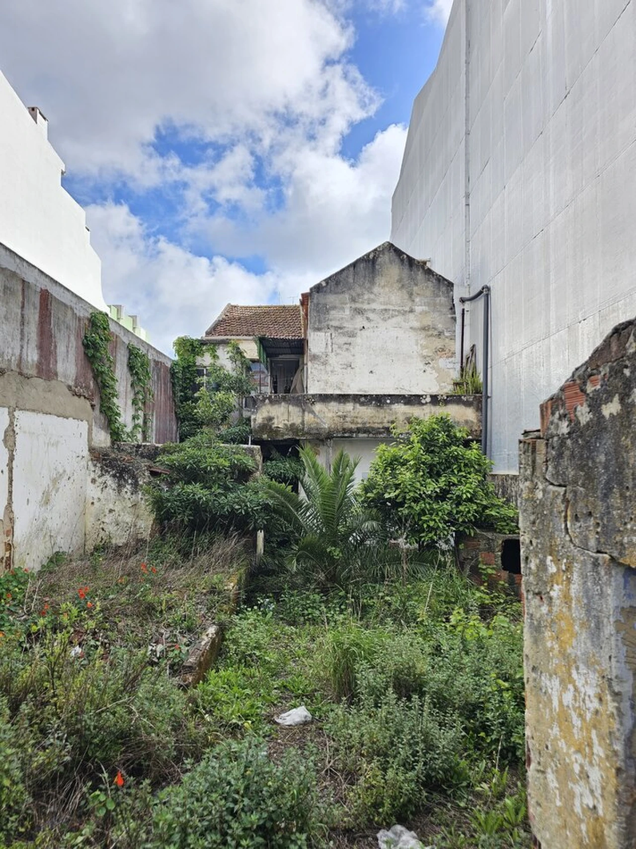 Prédio para Venda em Caldas da Rainha - Santo Onofre e Serra do Bouro Foto 3