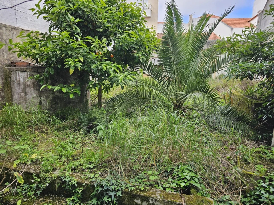 Prédio para Venda em Caldas da Rainha - Santo Onofre e Serra do Bouro Foto 5