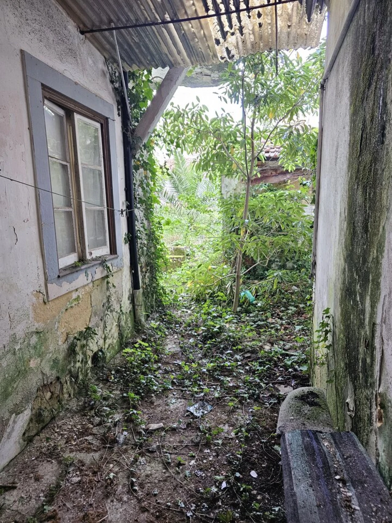 Prédio para Venda em Caldas da Rainha - Santo Onofre e Serra do Bouro Foto 6