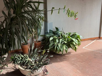 Escritório para Arrendamento em Santo Antonio dos Olivais