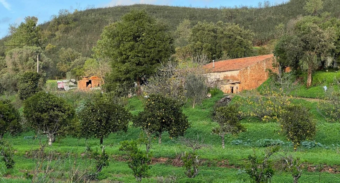Terreno para Venda em Mexilhoeira Grande Foto 2