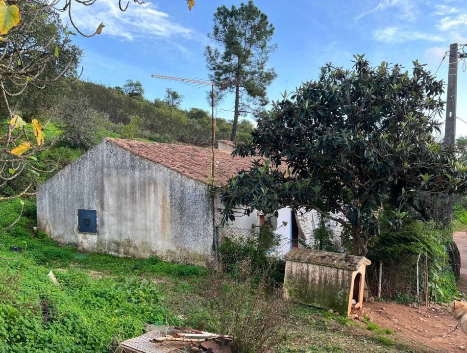 Terreno para Venda em Mexilhoeira Grande Foto 5