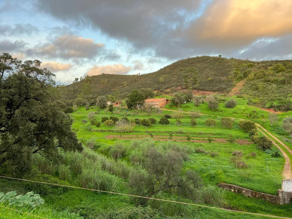 Terreno para Venda em Mexilhoeira Grande Foto 1